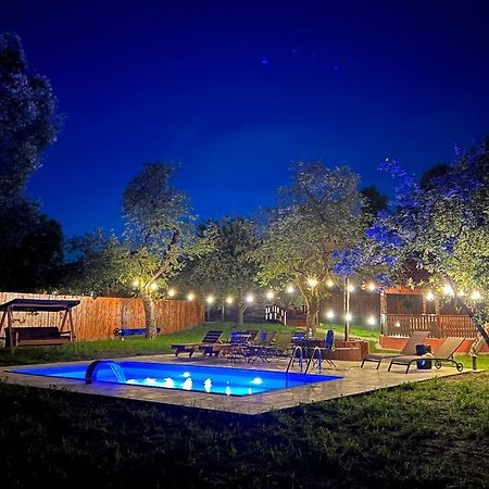 Horace Guesthouse Pool & Hot Tub & Bikes & River Dejani Extérieur photo